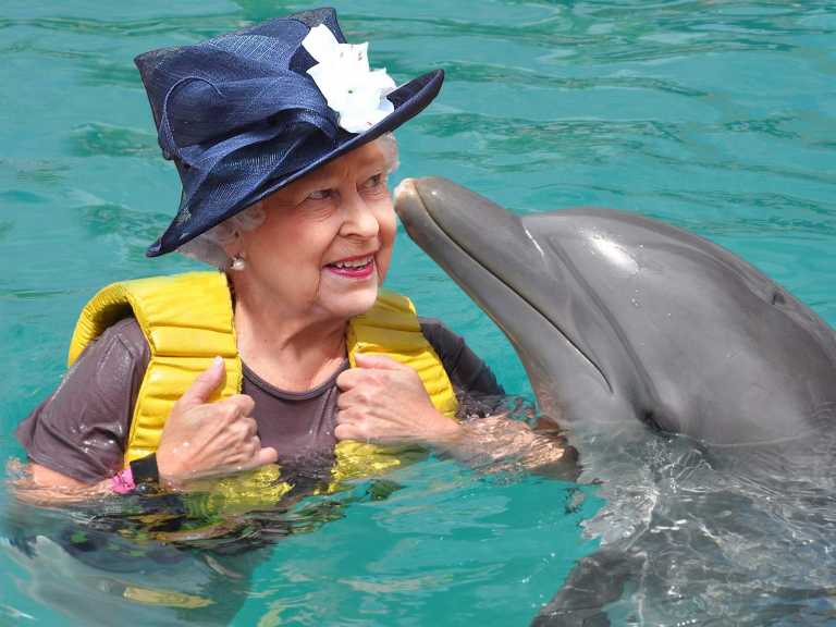 queen-elizabeth-ii-owns-every-dolphin-in-britain-and-doesnt-need-a-driving-license--here-are-the-incredible-powers-you-didnt-know-the-monarchy-has